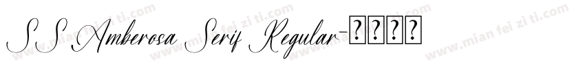 SS Amberosa Serif Regular字体转换